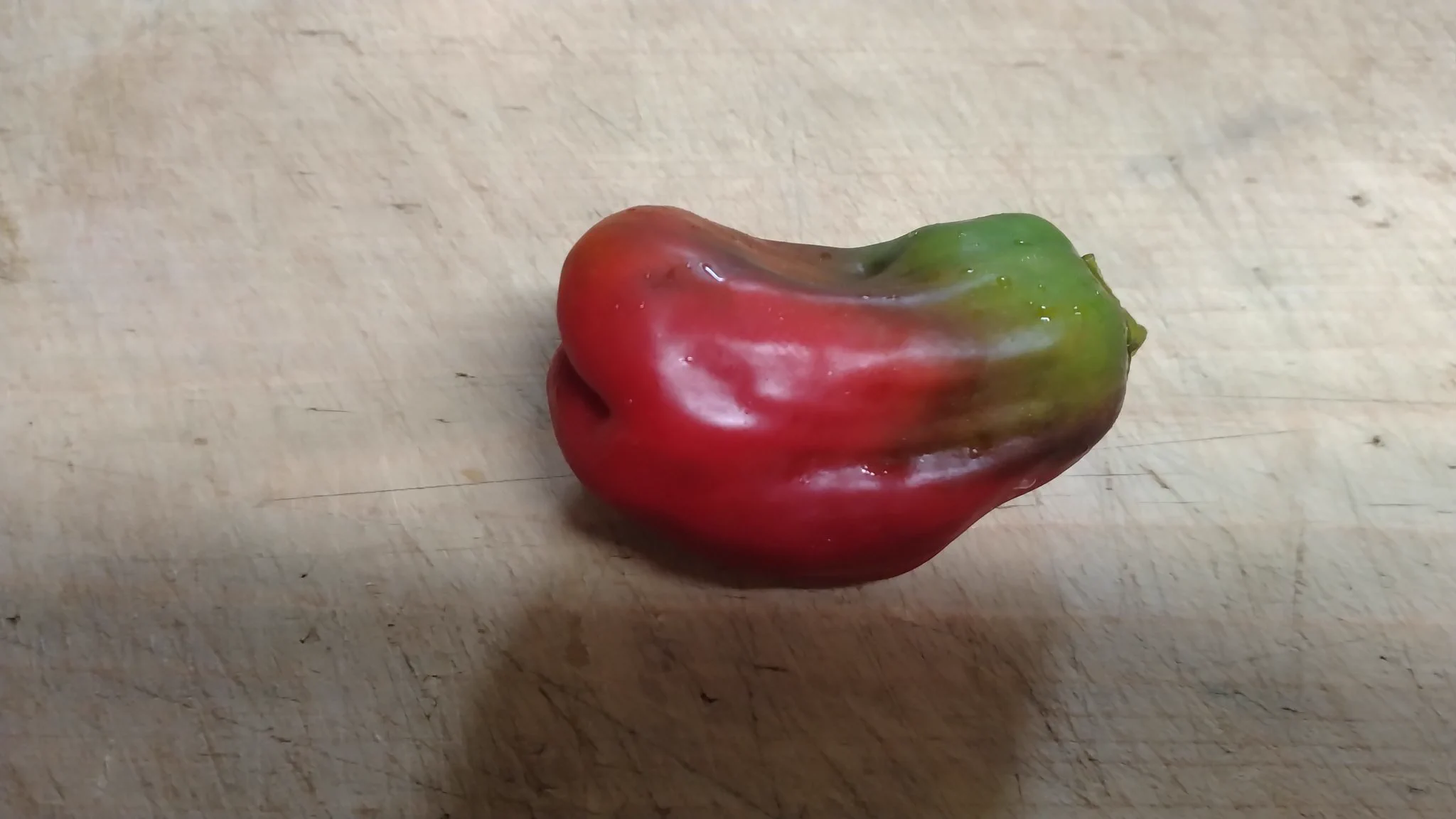 だんだん変わっていくとこんな感じ  