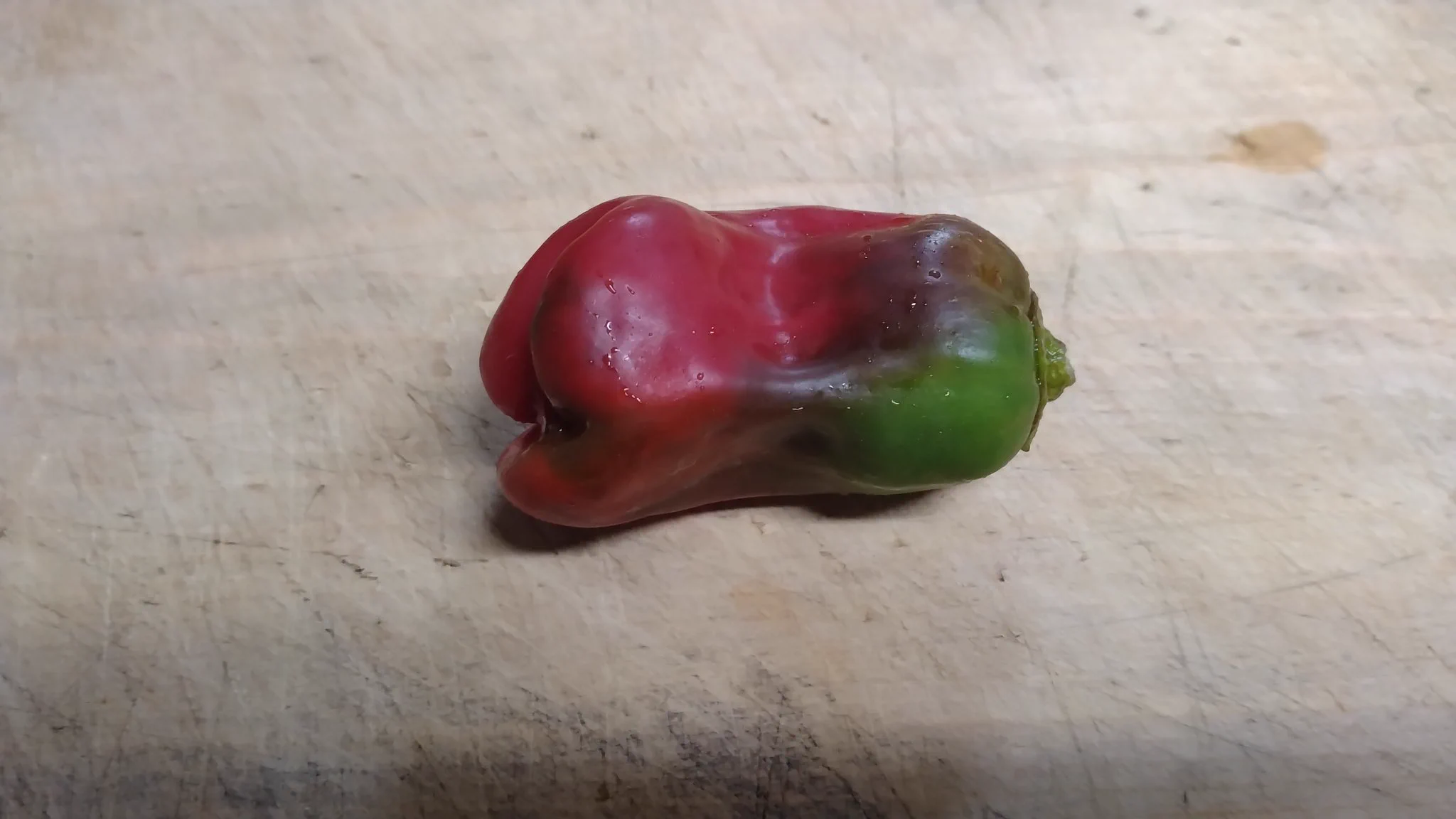 だんだん変わっていくとこんな感じ  