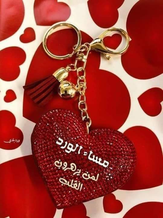 NsaMsaj's tweet photo. هلا الغوالي حاليًا في مسقط إلي حاب مساج يتواصل خاص https://t.co/aqQVcHKk7D
