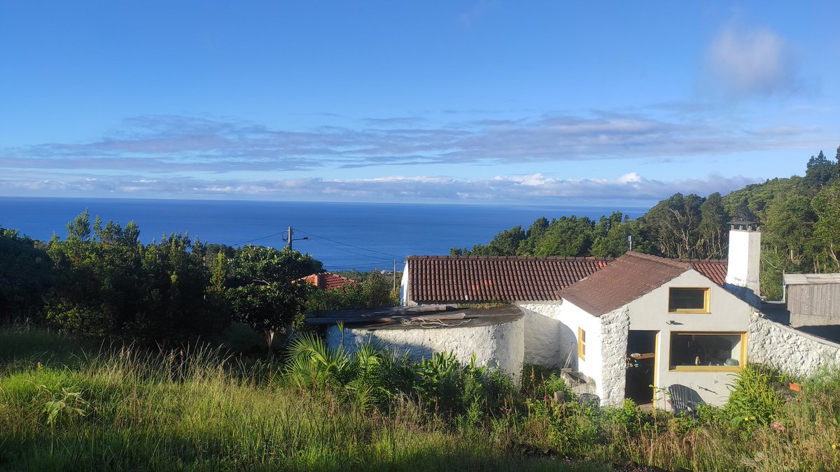 Gm ☀️

The Sun is rising over the Ocean as I begin prototyping Pico Cabin Residency Program - a community run space for regens and open source creators.

If you're looking for a deep rest and deep focus space immersed in awe-inspiring Nature, that's the thread for you.