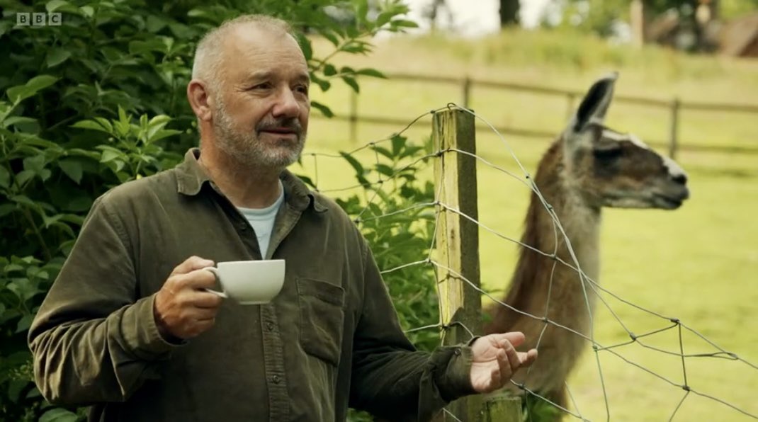 Merry Harriers tweet media