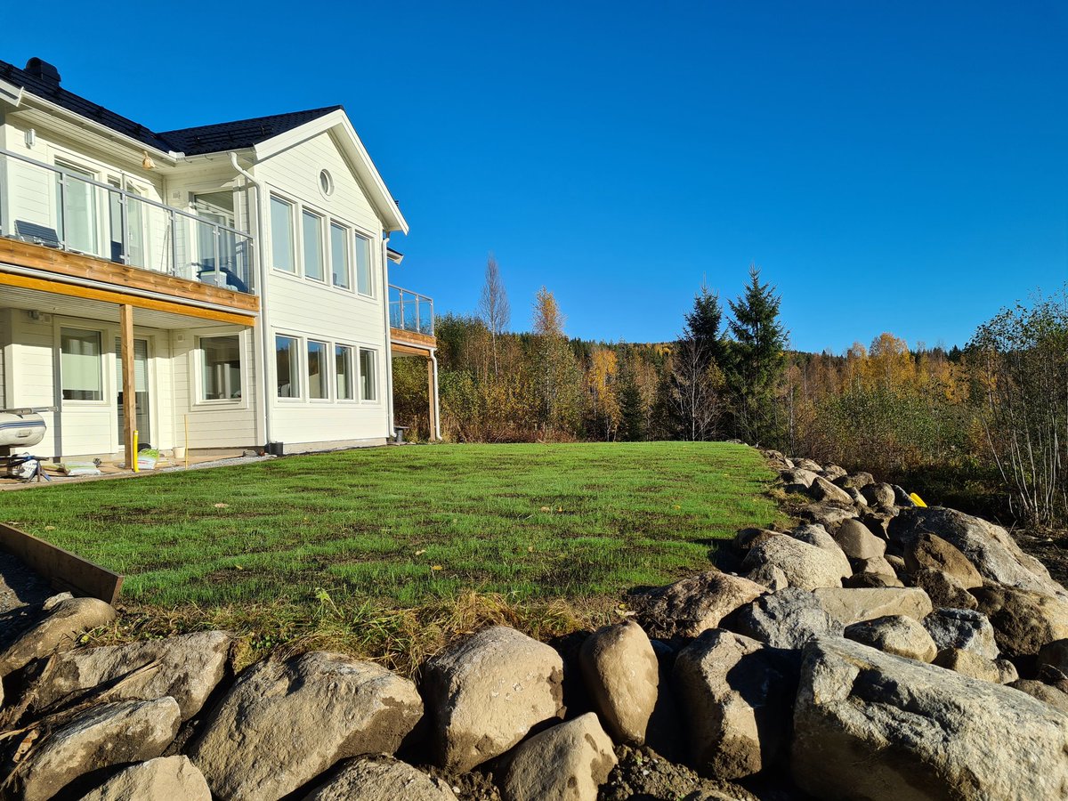 Zimmy the 2nd 🇿🇼🇸🇪🇪🇺👨‍🏭👨‍🔧🎣🍺🚜🏞🏝🗻🏕 tweet media