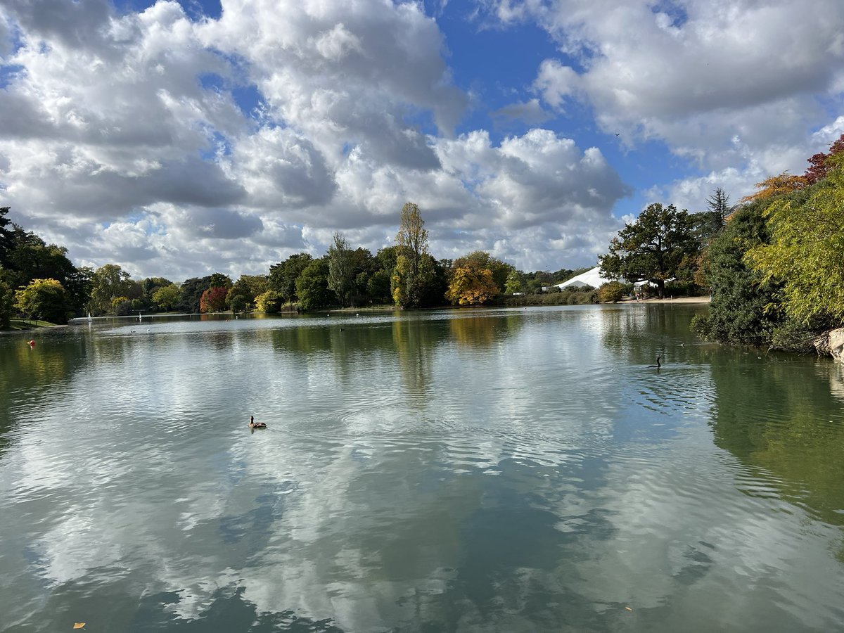 Aurelie Ham tweet media