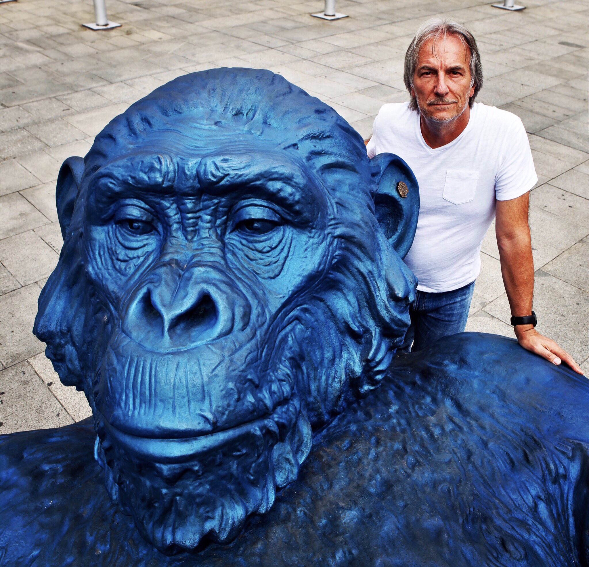 Such a big head! King Kong Balls 🤩 Retweet this 🔄 https://t.co/d1UDBzHhLy