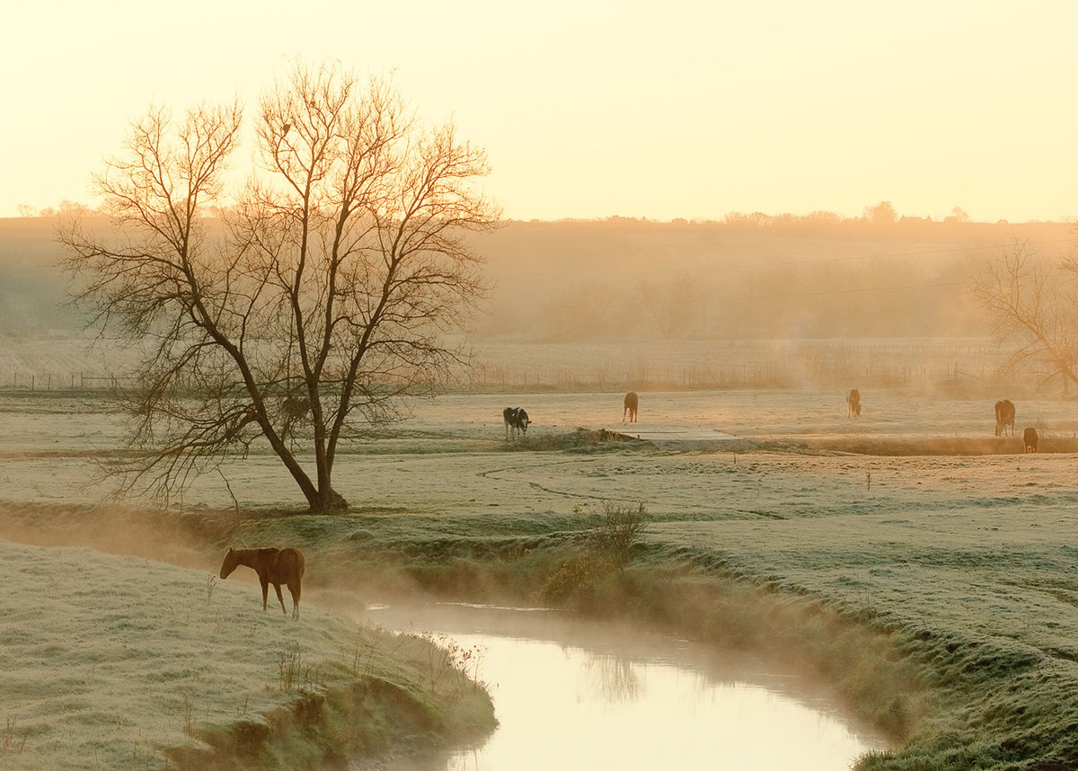 WisconsinPics's tweet photo. A frosty morning pasture on a farm near Argyle, Wisconsin.

#farm #wisconsin #wisconsinphotos #rural #ruralphotos #stockphotos #stockphotography #commercialart https://t.co/qEyGYlDrEY