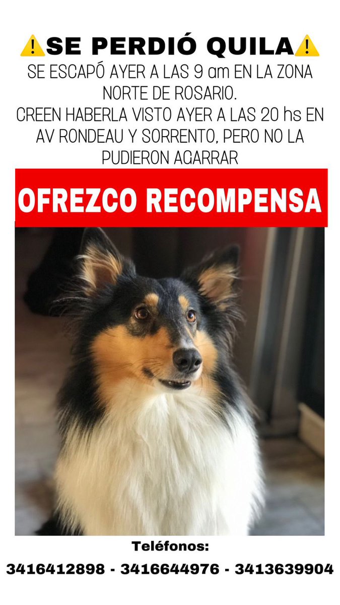 ¡Cada retweet es una chance más de encontrarla! Por favor difundir 🙏 Gracias a todos los que están colaborando.