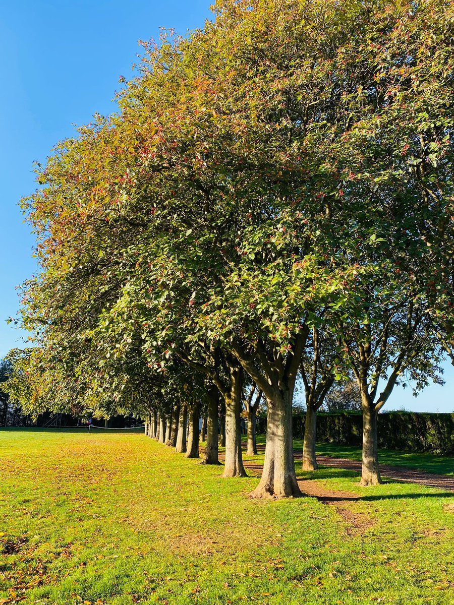 Lee Vanstone tweet media