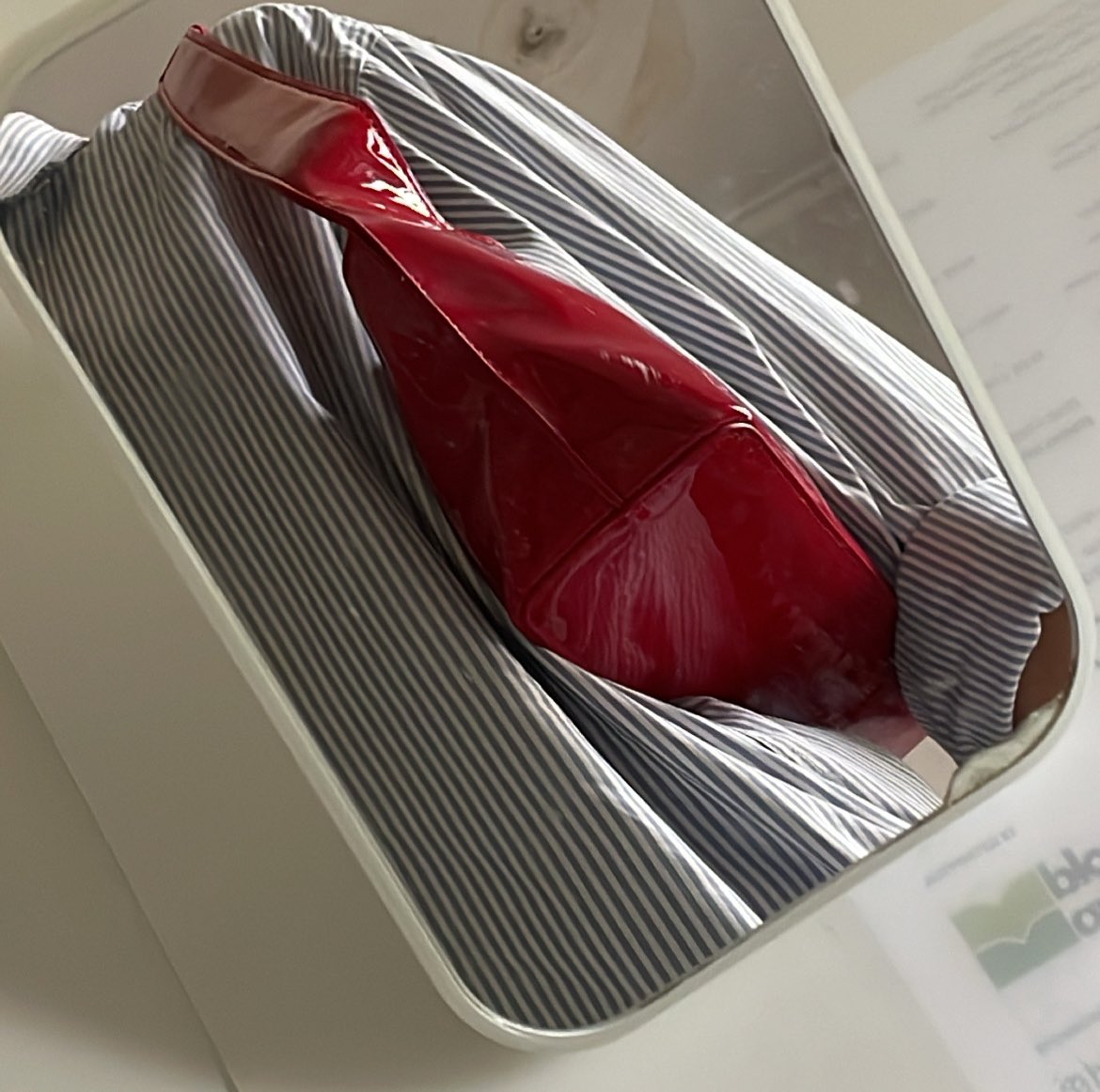 mapleons's tweet image. 