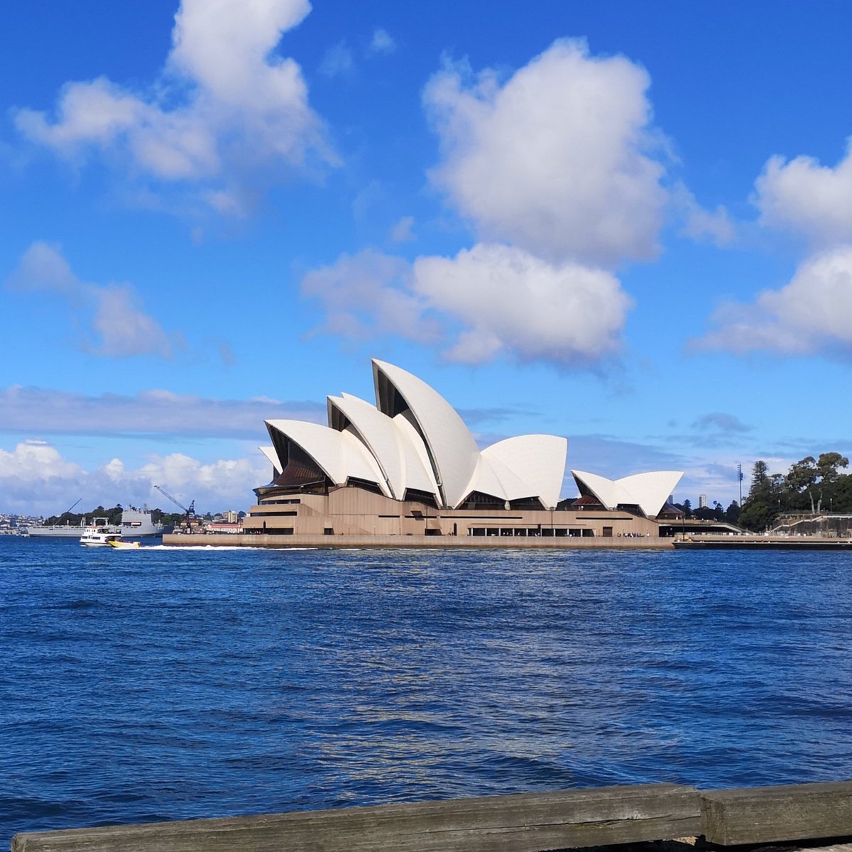 Before the rain came in! Aussies taking over #web3 ☔☔☔☔🌧️😂😂🍻👍💀💀💀#vechain #crypto #NFTs #nftcommunity #nftartist #nftcollectors