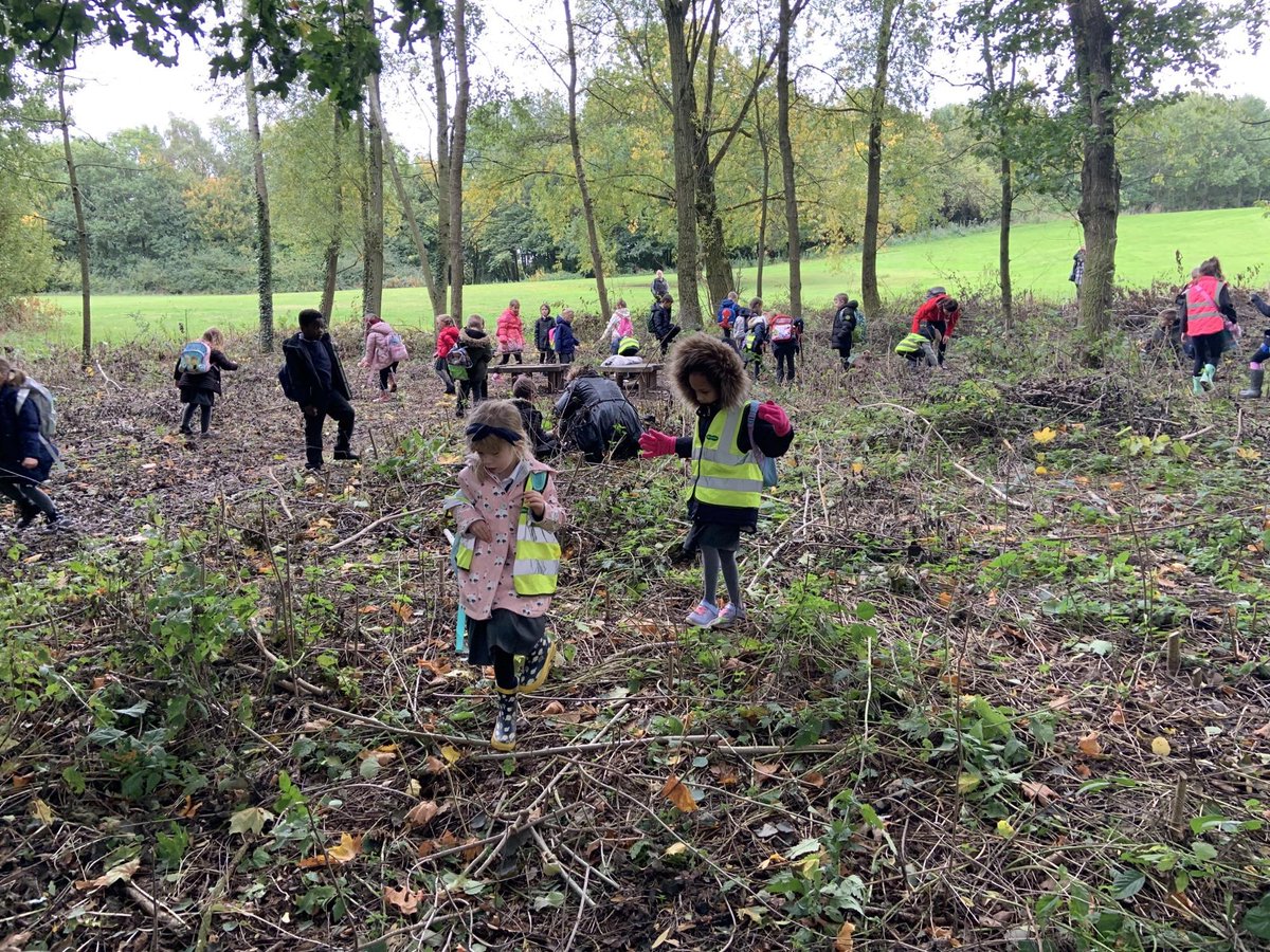 Leamington Primary Academy FHT (@leamingtonpafht) on Twitter photo Year 2 had a fabulous day at Sutton Lawn. Park fun, PE, exploring around the lake and a woodland minibeast hunt 🏞 Year 2 had a fabulous day at Sutton Lawn. Park fun, PE, exploring around the lake and a woodland minibeast hunt 🏞