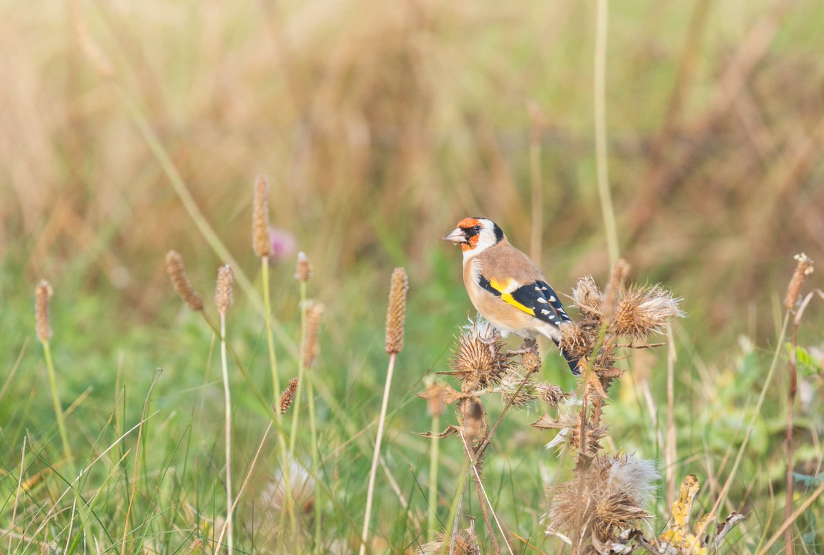 UnaxePictures tweet media