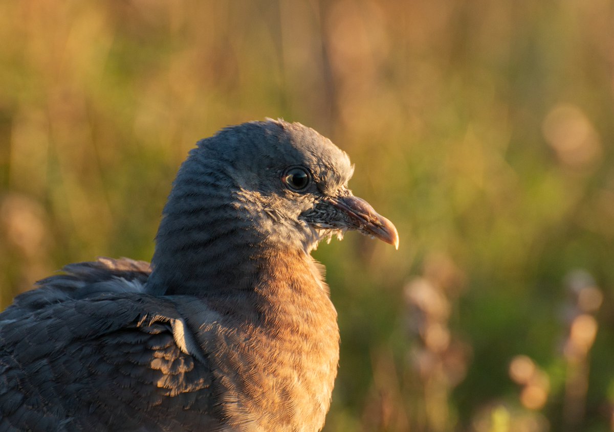 UnaxePictures tweet media