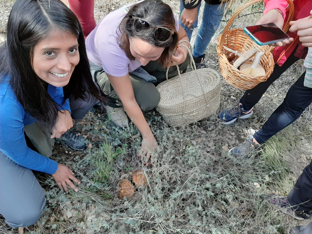 cuenqueando's tweet image. Rutas Micológicas: Vente con nosotros a descubrir todos los secretos de nuestros bosques de la mano de un experto en botánica y micología. Pasearemos por los bosques de la 𝗦𝗲𝗿𝗿𝗮𝗻í𝗮 𝗱𝗲 𝗖𝘂𝗲𝗻𝗰𝗮 en busca de estos pequeños tesoros: las setas.
🍁Nos vamos de setas!!! 🍄