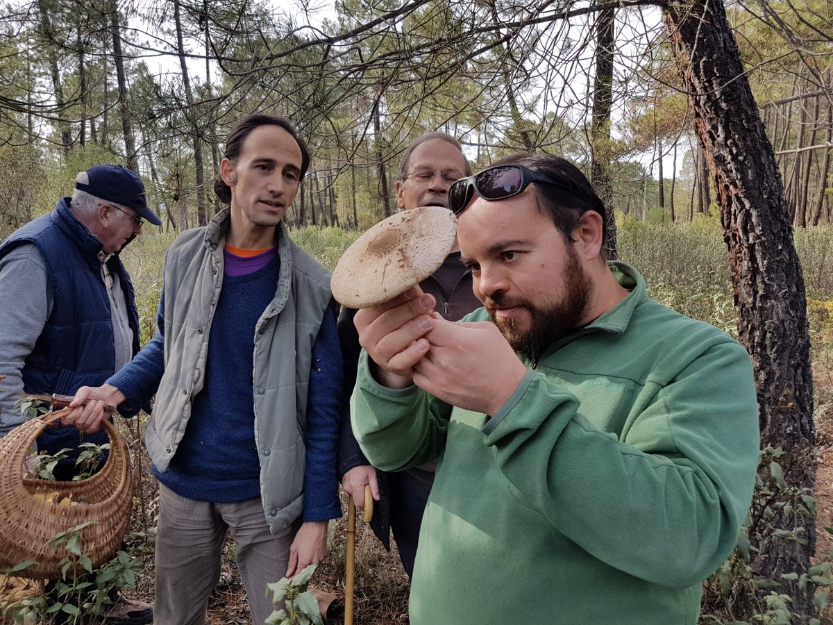 cuenqueando's tweet image. Rutas Micológicas: Vente con nosotros a descubrir todos los secretos de nuestros bosques de la mano de un experto en botánica y micología. Pasearemos por los bosques de la 𝗦𝗲𝗿𝗿𝗮𝗻í𝗮 𝗱𝗲 𝗖𝘂𝗲𝗻𝗰𝗮 en busca de estos pequeños tesoros: las setas.
🍁Nos vamos de setas!!! 🍄