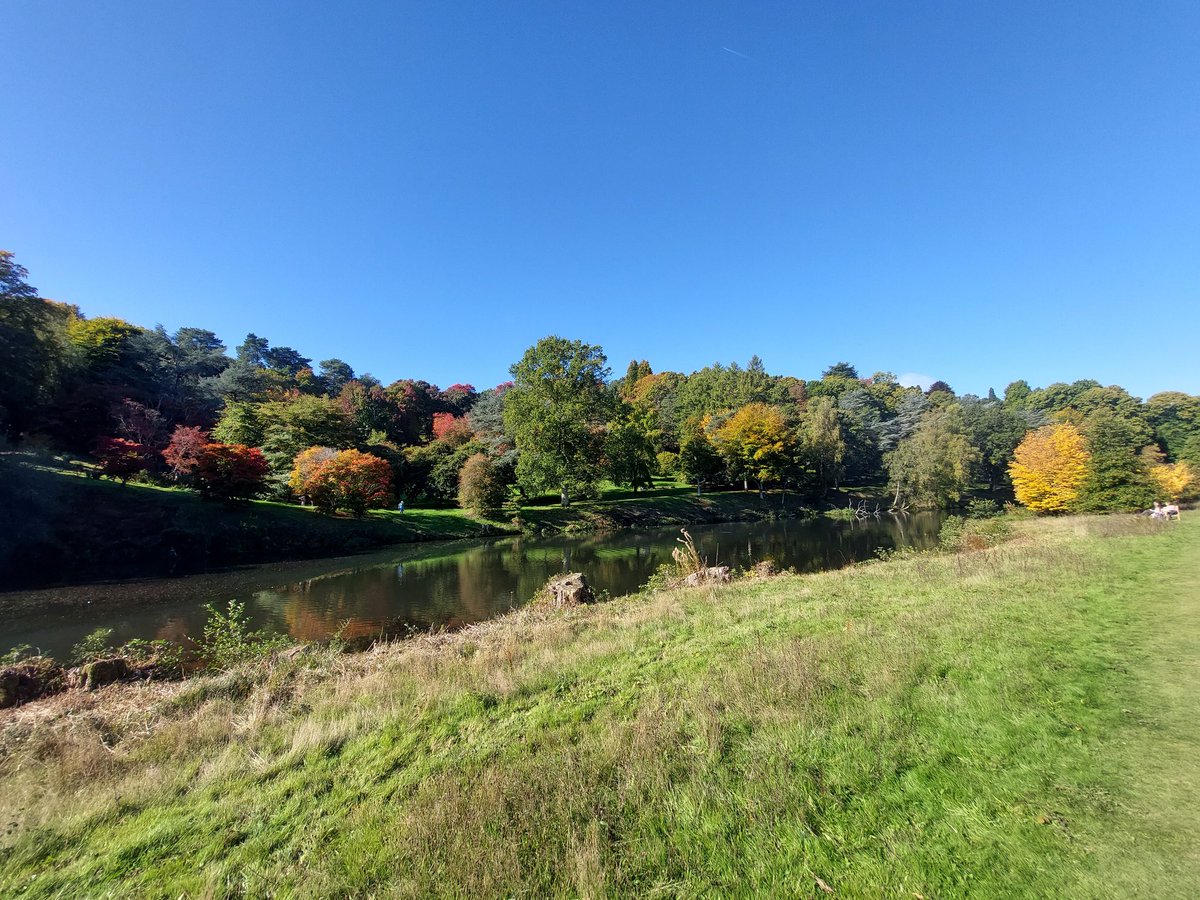 Beautiful Winkworth <a href="/nationaltrust/">National Trust</a> #autumn #outdoors
