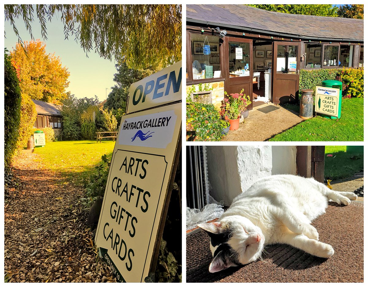 It has been a beautiful sunny morning here at the <a href="/OldDairyFarmNN7/">Old Dairy Farm NN7</a>. We are open over the weekend between 10 and 4, Bounty and I hope to see you soon.
#shoplocal #ShopSmall #hayrack20 #catsatwork