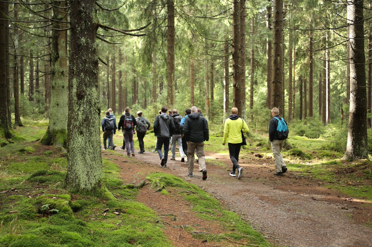 Interactive Inference tweet media