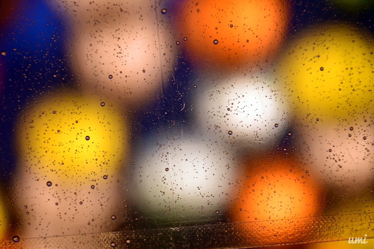灯火

#ランタンナイト #横浜ベイクォーター #キリトリセカイ #ファインダー越しの私の世界 #雨の日 #写真 #photo #photography #Nikon #kanagawaphotoclub
