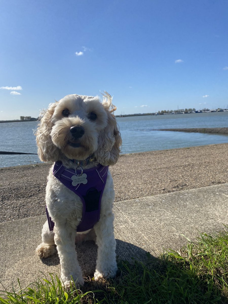 A very fresh October walk 🐾