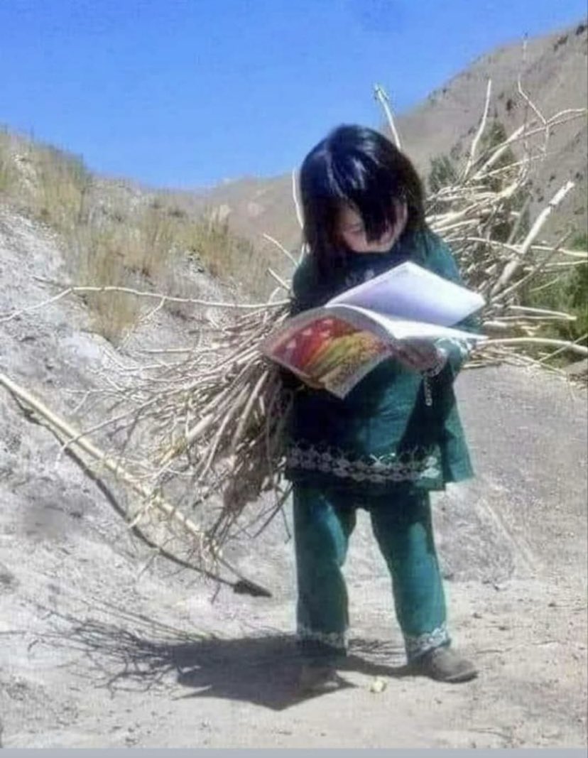 با این حالم چه میکنی؟
#StopHazaraGenocide