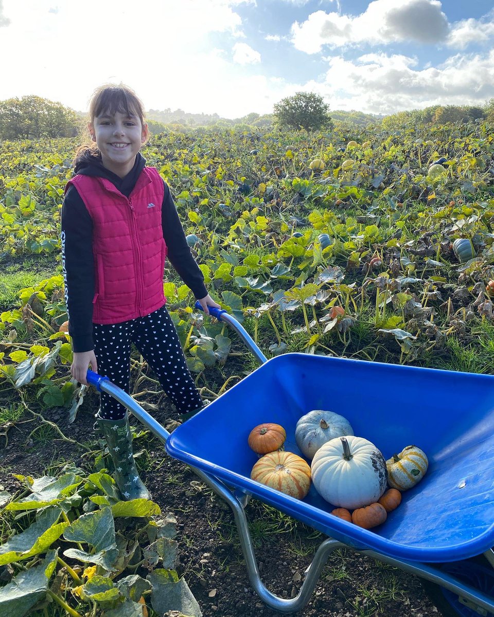 sll_powell's tweet photo. @IntakeSchool EP (Y6L) had a great time pumpkin picking and feeding chickens today https://t.co/vEPL0gu3pa