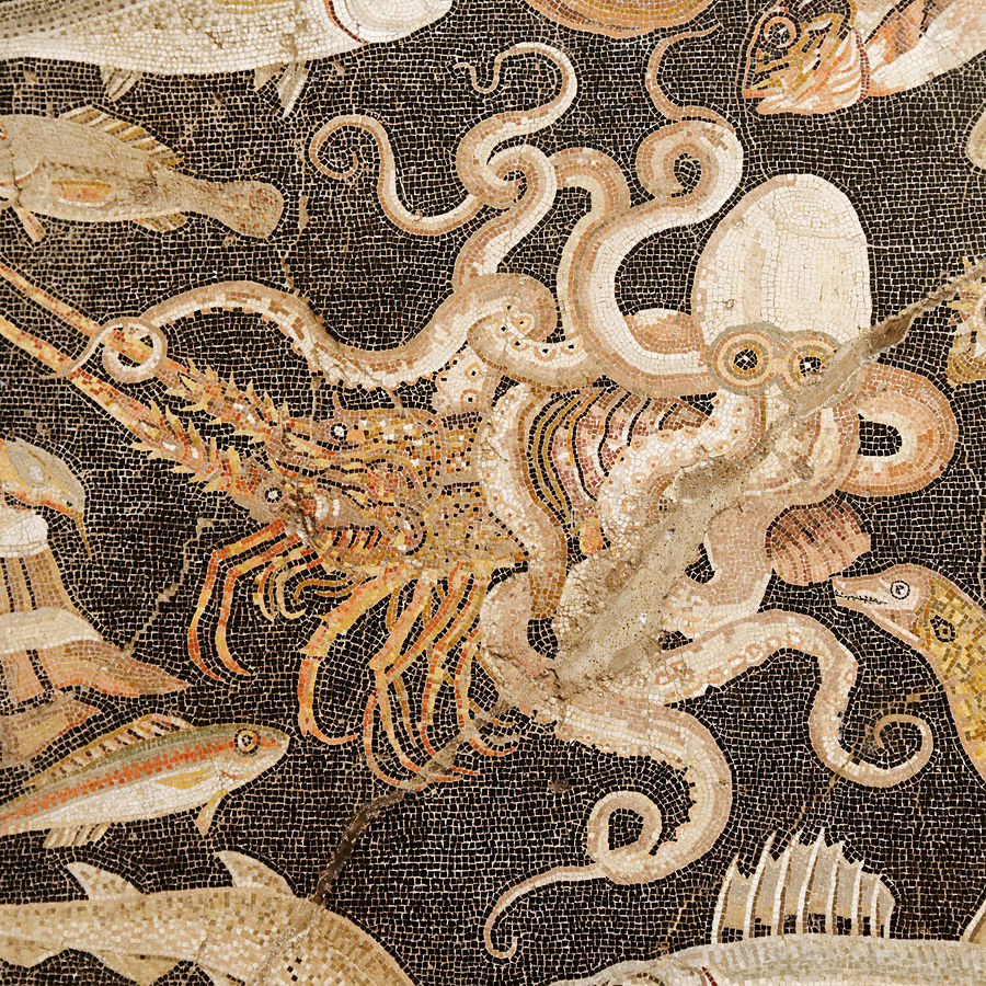 For #WorldOctopusDay I share a scene of the so-called 'Fish Mosaic' discovered in the 'House of the Faun' in Pompeii, Italy, which dates back to the 2nd century BC and depicts a combat between an octopus and a lobster in astonishing detail. 
commons.wikimedia.org/wiki/File:Fish…