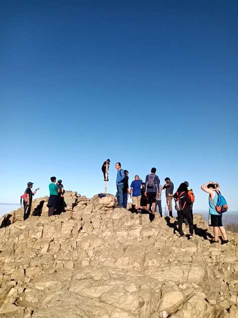 Zotero found # in a Blue vault at this location! Join me playing #coinhuntworld, It's awesome! coinhunt.gsc.im/fE3hHPRSym #cryptocurrency #2839193