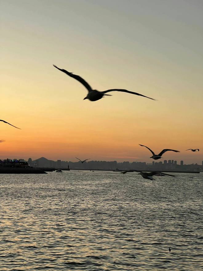 ruby_ruby1314's tweet image. Facing the sea, feel comfortable