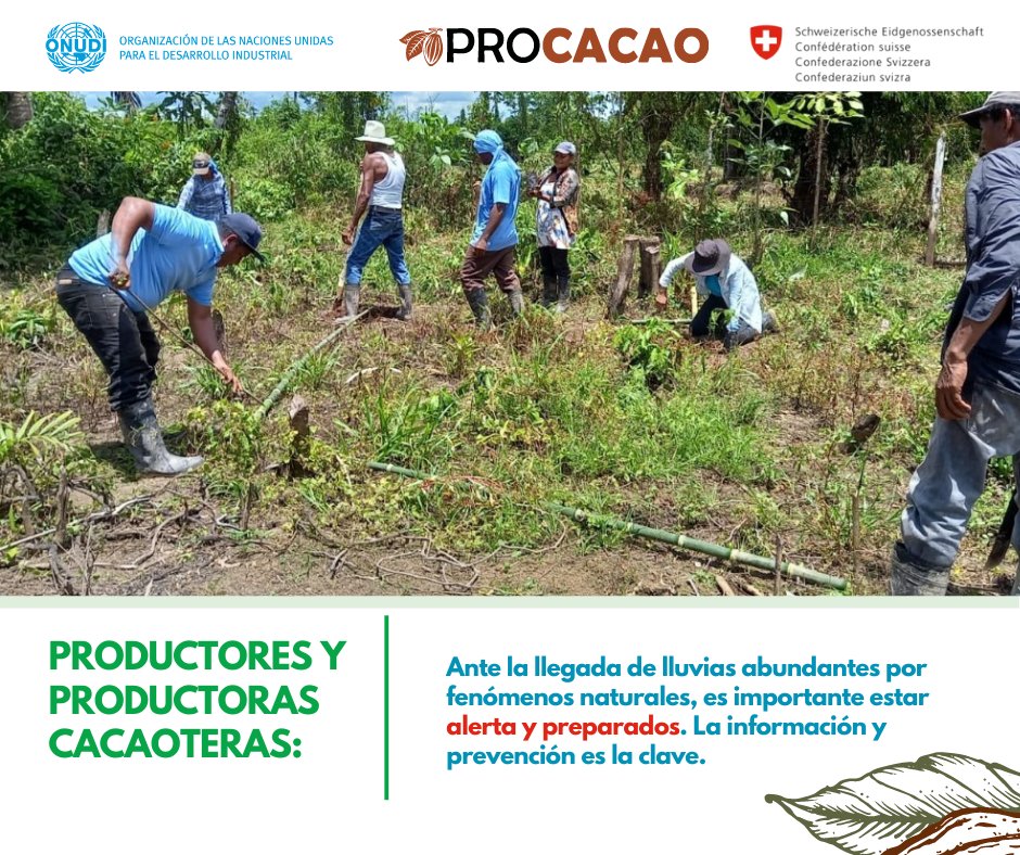 procacao's tweet photo. Desde #PROCACAO estamos dándole seguimiento al desarrollo de una tormenta tropical en formación en el suroeste del Mar Caribe que impactará a #Nicaragua. Se espera que esta tormenta se convierta en el huracán Julia el sábado por la noche al acercarse a las costas de #Nicaragua. https://t.co/8JtVPsszgO