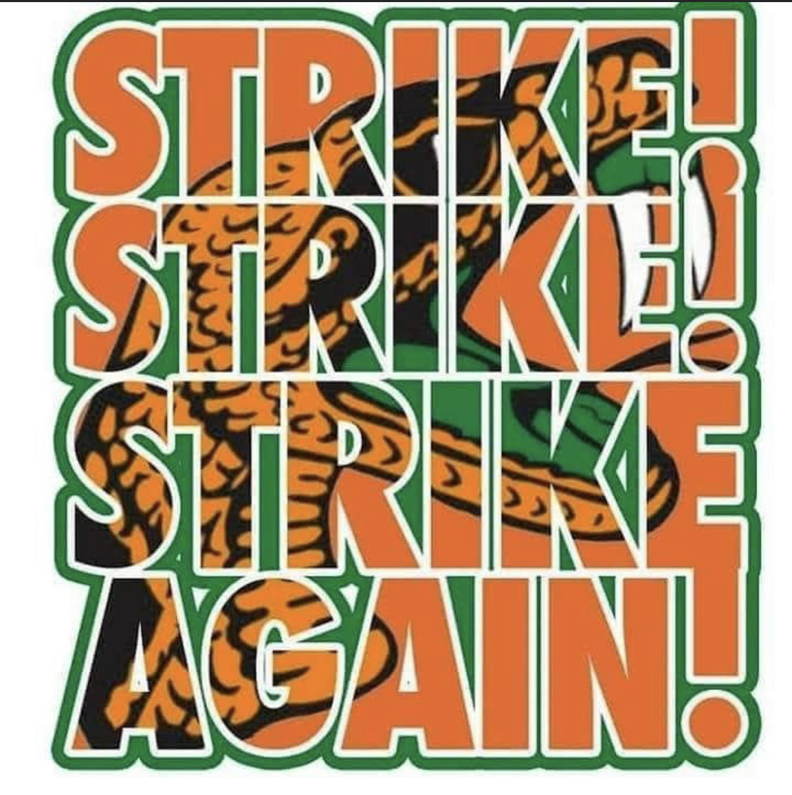 MommyJuel's tweet photo. It’s GameDay 🧡🐍💚!! Rattlers let’s get this Win!!🏈 #fighttofinish #leavenodoubt 🏈 #BeatSCSU https://t.co/bcu7HNObVr