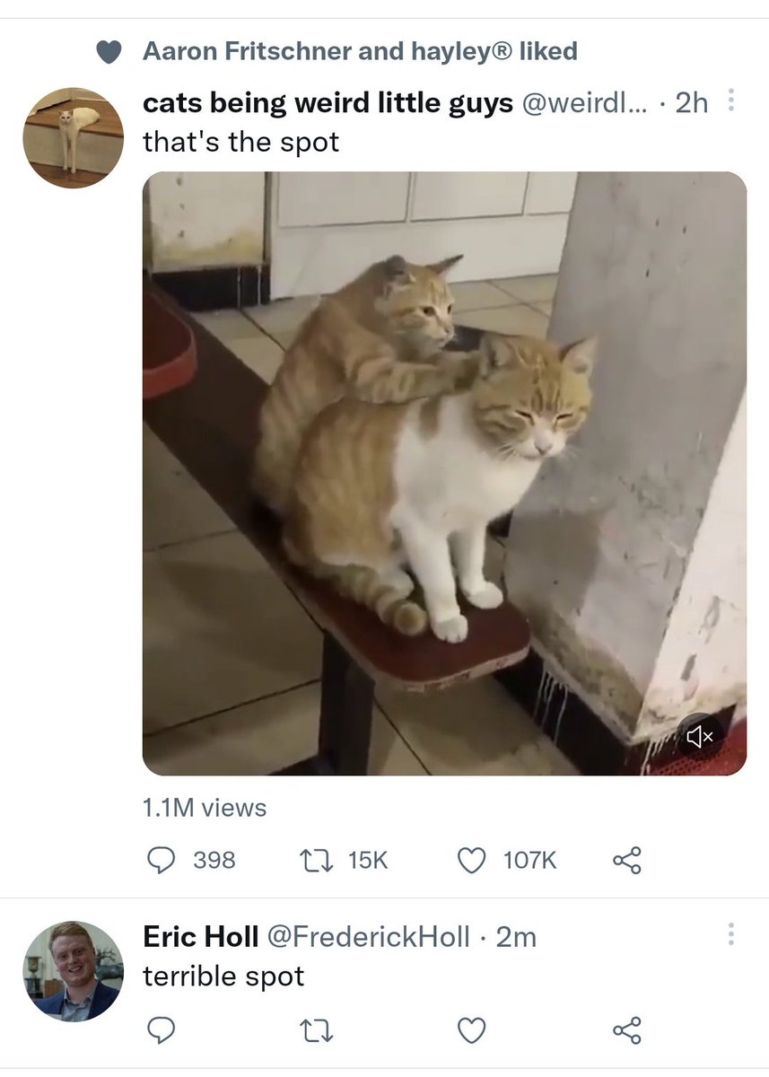 RobertWHoward's tweet photo. @FrederickHoll good algorithm https://t.co/Bv1iqxthAb