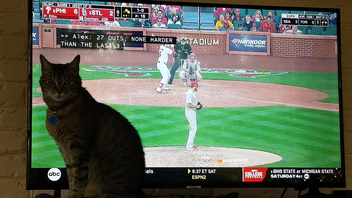 ProfessorsCat's tweet photo. Mom, must I wait until the Phillies game is over to eat? #RingTheBell #BaseballCat https://t.co/b5R3ApKH52