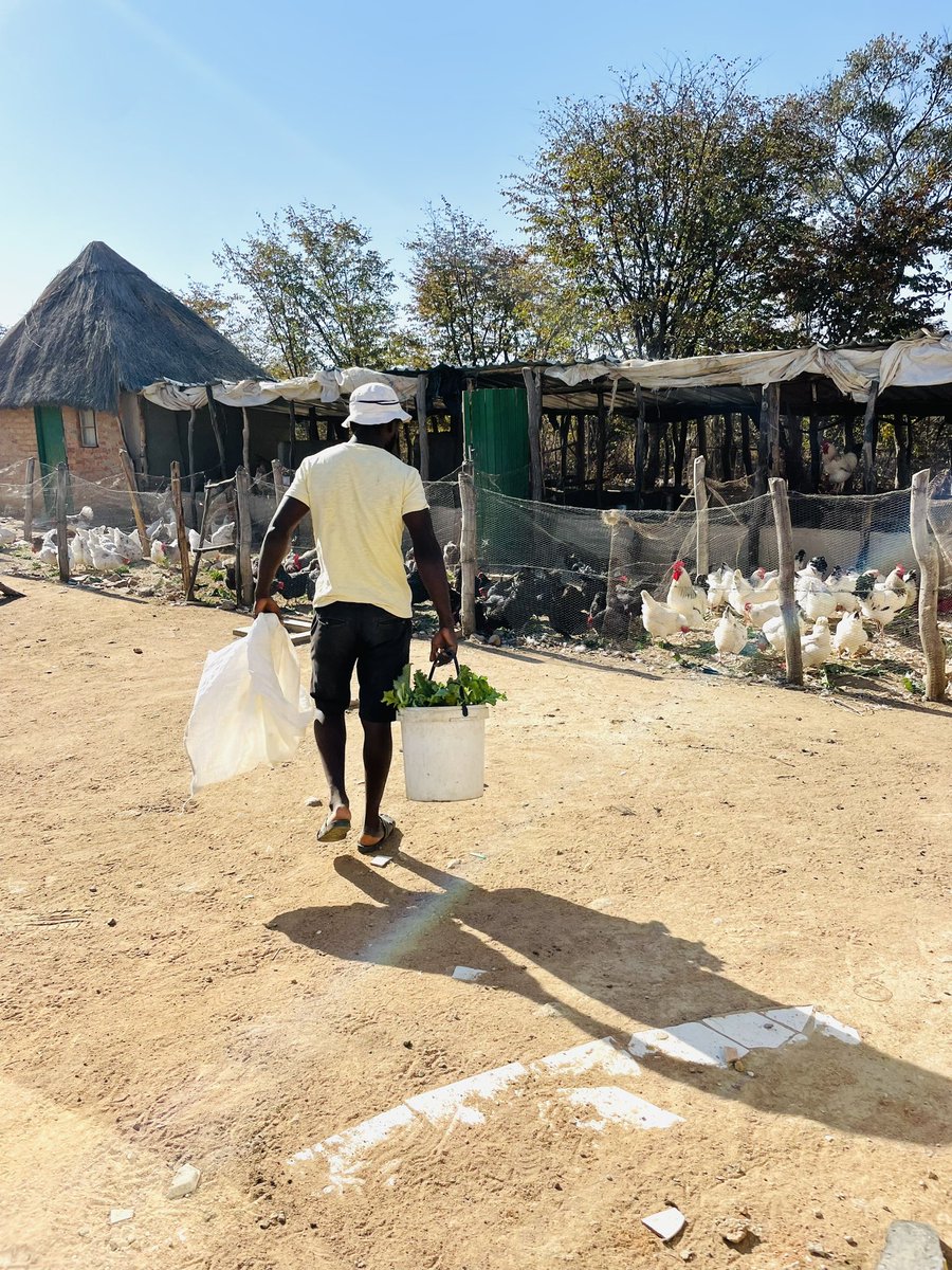 The Prince Machiavelli tweet media