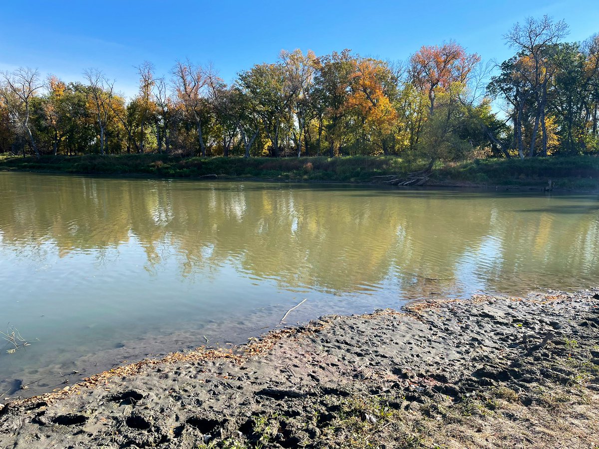 NaomiOrre's tweet photo. 53° + wall-to-wall sunshine. Mother Nature is spoiling us already, this weekend. #ndwx #mnwx #PrairiePlaces #FargoThings #visitFM 🍂🍃🍁 https://t.co/llROr72YWH