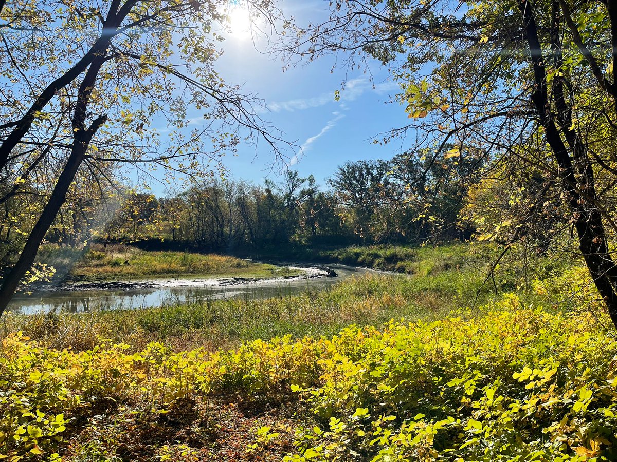 NaomiOrre's tweet photo. 53° + wall-to-wall sunshine. Mother Nature is spoiling us already, this weekend. #ndwx #mnwx #PrairiePlaces #FargoThings #visitFM 🍂🍃🍁 https://t.co/llROr72YWH