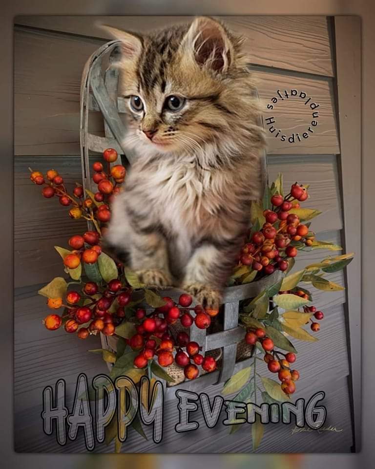 <a href="/Jonspreadlove/">Jon Snow not bc I am cool but bc I KNOW NOTHING</a> <a href="/MichelleHillie9/">Michelle@Ryder</a> <a href="/663Renegade/">Anna</a> <a href="/ManiarMuhammad/">Aafiny MZM</a> <a href="/HarcourtDoug/">Doug</a> <a href="/loveGoldenHeart/">💛Christina Goebel, M.A.</a> @BarbaraLoraineN <a href="/BabyGo2014/">Baby Go</a> <a href="/Roshank56856946/">Roshankhan</a> <a href="/SKID1144/">OLIVERESKRIDGE</a> <a href="/szentandrassym/">🌞 Sophie S 🌴</a> <a href="/rpskataria/">Ramphal Kataria رامپھل کٹاریا</a> <a href="/Titas37/">Benito -</a> <a href="/kalimullah2/">Kalimullah</a> @gerrinnesmac <a href="/maryrhoton/">Motormouth 2</a> <a href="/B_D_Jha/">B D Jha</a> <a href="/Muhamma53074277/">Engr Muhammad Naeem Khan.</a> <a href="/debratankersle1/">debra tankersley</a> @Adele47018578 @crosiglia <a href="/TeresaR86980558/">Teresa Roberts</a> <a href="/MyYellowDreams2/">My Yellow Dreams</a> <a href="/CarlosD55587122/">Carlos Domingos</a> <a href="/DerekPa30582481/">Derek Paterson</a> <a href="/duabusan/">Alberto</a> <a href="/CarlosD98904330/">Carlos Domingos</a> <a href="/pemamasih1/">Pema@masih</a> <a href="/kelebek_mavi10/">🦋KelebeK🦋</a> <a href="/VanCity6042/">🇨🇦🇨🇦VanCity-604🇨🇦🇨🇦</a> <a href="/LudmilaKliegl/">Ludmila Kliegl..*( Lida)</a> <a href="/time_tested123/">HK</a> @WhatYouWantNowU @helensmomma <a href="/Castle_Peach/">Peaches 🏳️‍🌈</a> <a href="/PSeabra52/">Parrot seabra52</a> <a href="/CarlosD09817179/">Carlos DOMINGOS</a> <a href="/NinePetanque/">françoise</a> @GerardBrowne16 <a href="/CarlosD51140632/">Carlos Domingos</a> <a href="/Cambuci60/">Arty</a> <a href="/artcoaching/">𝔄𝔯𝔱𝔠𝔬𝔞𝔠𝔥𝔦𝔫𝔤</a> <a href="/AngeLtongue/">⊕Gloria⊕</a> <a href="/Bijan_Cyrus/">❤️The King Of Love❤️ Wishes You Love❤️Peace❤️❤️❤️❤</a> <a href="/JeanetteJoy/">Jeanette JOY☮️</a>