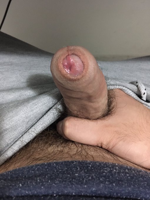 Sbovvo o non sbovvo&hellip;questo &egrave; il dilemma 🫠💧💦 https://t.co/haRjlar15Q<a href="/tag/homoerectus"class="tags"><span>#homoerectus</span></a><a href="/tag/alzabandiera"class="tags"><span>#alzabandiera</span></a><a href="/tag/buongiornoatutti"class="tags"><span>#buongiornoatutti</span></a>