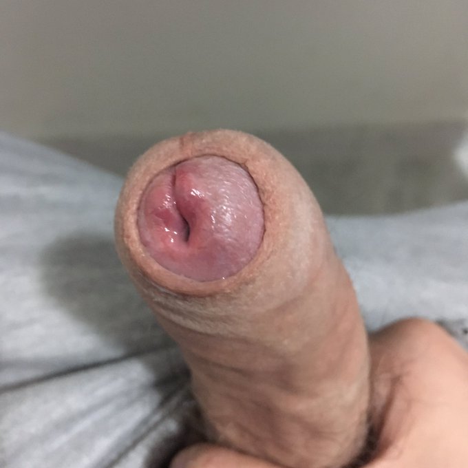 Sbovvo o non sbovvo&hellip;questo &egrave; il dilemma 🫠💧💦 https://t.co/haRjlar15Q<a href="/tag/homoerectus"class="tags"><span>#homoerectus</span></a><a href="/tag/alzabandiera"class="tags"><span>#alzabandiera</span></a><a href="/tag/buongiornoatutti"class="tags"><span>#buongiornoatutti</span></a>