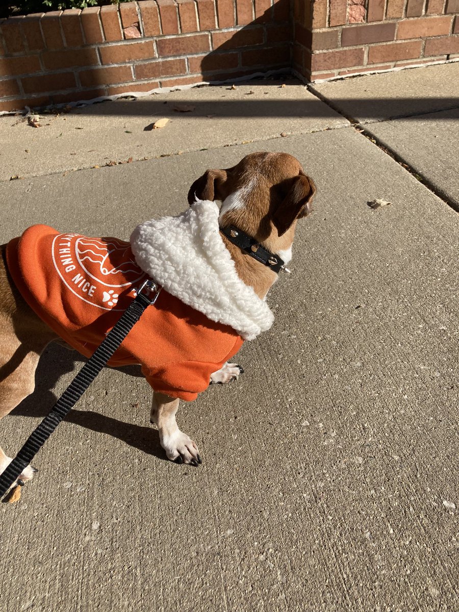 Chief security Pawficer for a pro choice rally