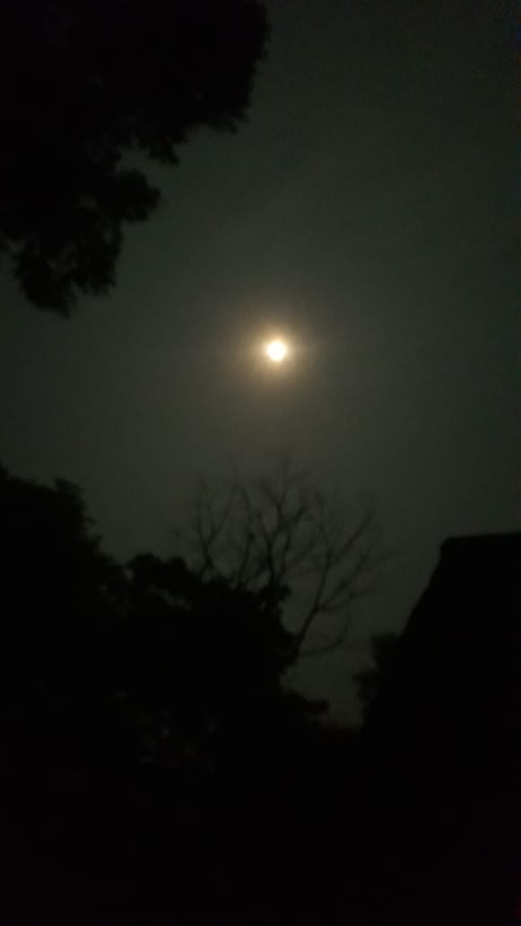 That silver sphere and the queen🌛