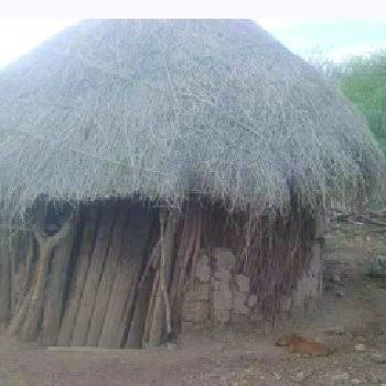 BruceAtukwasa's tweet photo. I grew up knowing that there is independence but upto now haven't seen any.
Uganda ya green https://t.co/eTQtsQykP8