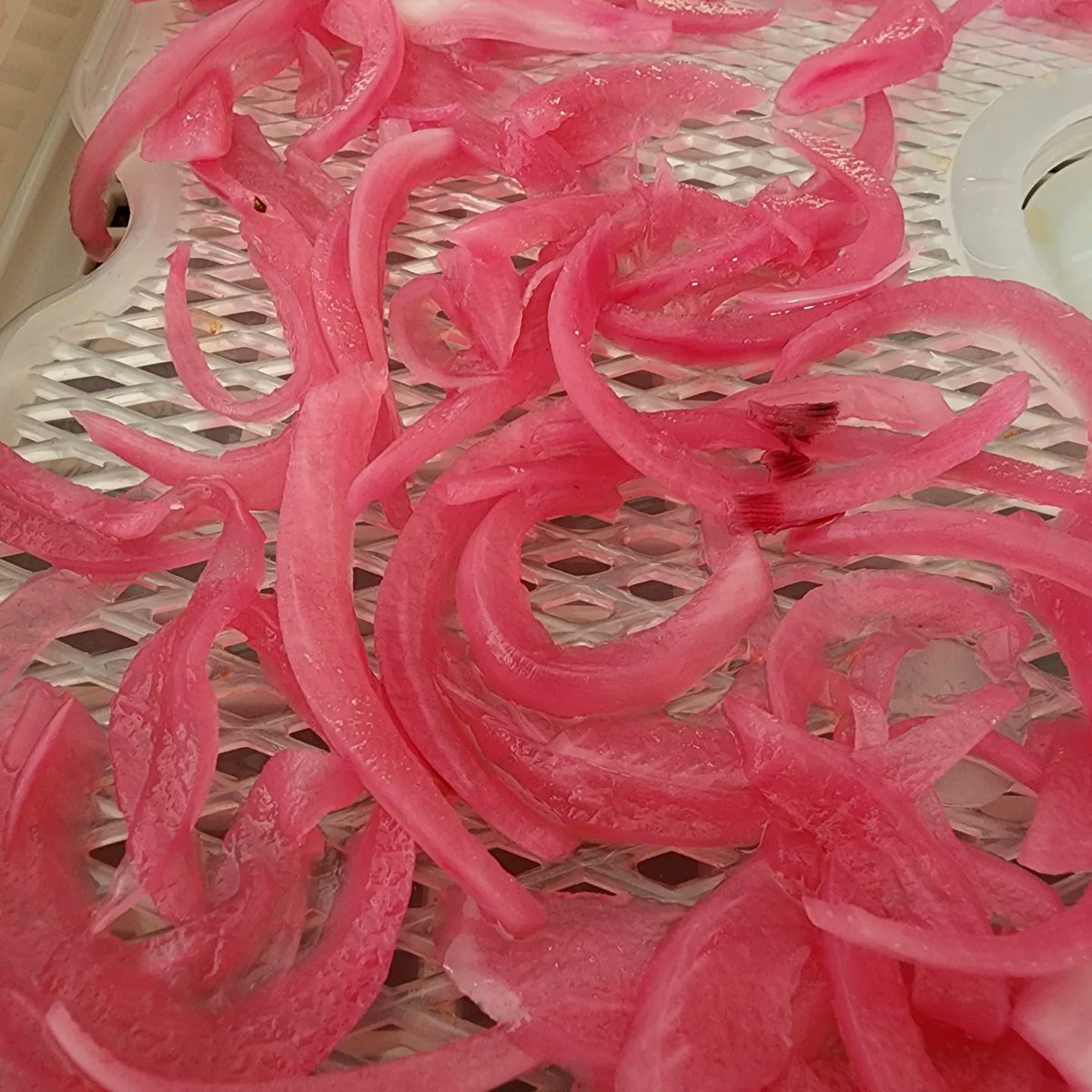Dehydrator Playtime

Let's see how these turn out. Pickled red onions are one of my favorite condiments so I imagine it will probably be a great seasoning once dried and ground.
Let the experiment begin.

#dehydrator #foodlab #onion #EXPERIMENTATION #chef