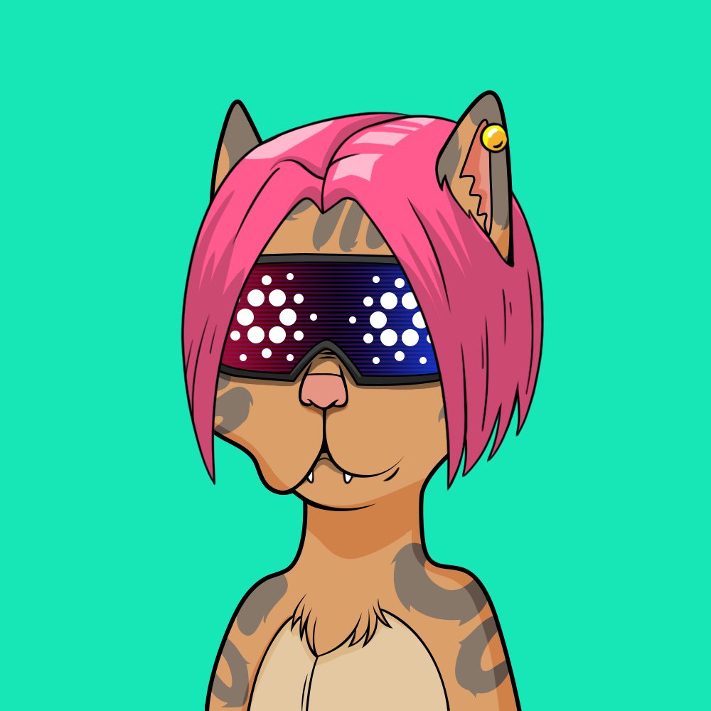 HappyDogBitcoin's tweet photo. @BossCatRC Holy Mother of #BossCat, I mean #BossCat Girls Gang (#BCGG ), we need those sexy merch for our girls party to show off to the boys how sexy n vibes n bossy we are. Because we are #BossCat after all.
@sandratroton @dorotheetran @MarinevuTran @maruko_nft @SPACEgirl8888 https://t.co/u61I9OwQbu