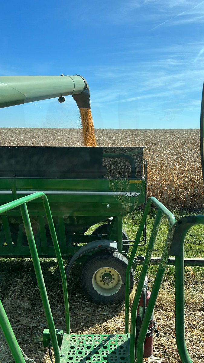 Nice day for harvest.