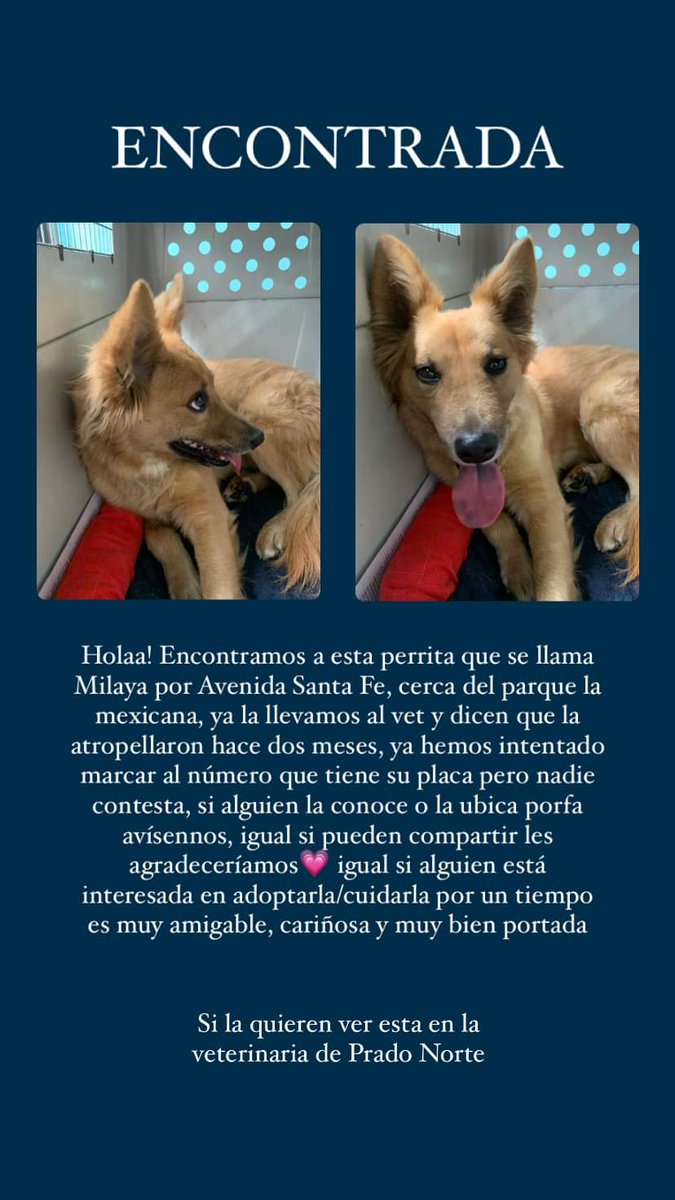 #Encontrada 07 octobre 22 en Av. Santa Fe #CDMX 
El # de la placa  56 1188 0182.

Si la reconoces ☎️5535258965