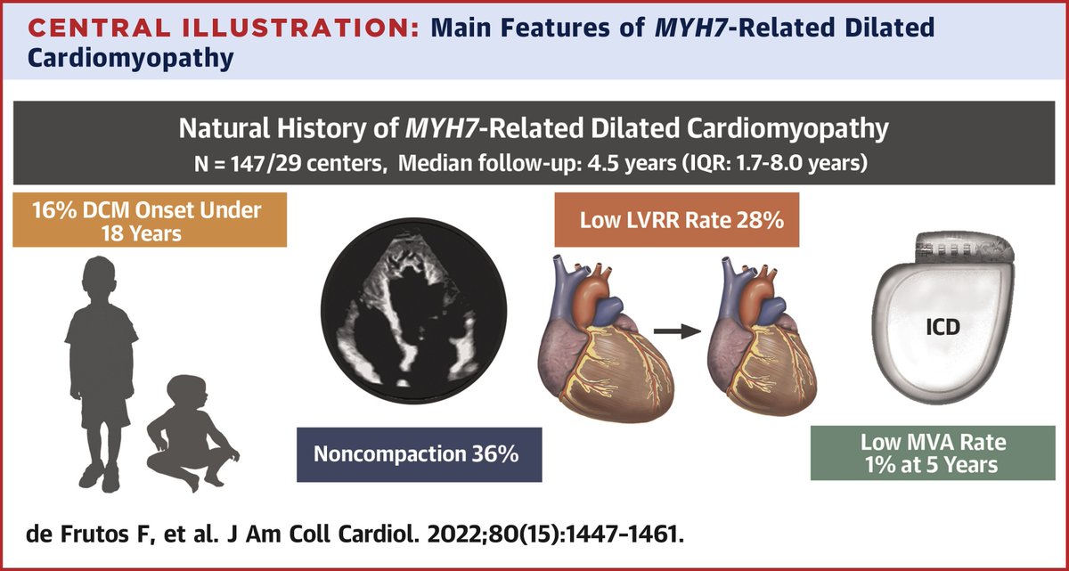JACC Journals (@jaccjournals) on Twitter photo MYH7-related DCM – early onset, low LV reverse remodeling and progression to end-stage HF. See the natural history of this genetic cardiomyopathy. bit.ly/3Cjj4BB
#JACC #cvDCM #MYH7 #HeartFailure #CardioTwitter <a href="/fdefrutossemi/">Fernando de Frutos</a> <a href="/dr_pavia/">Pablo Garcia-Pavia</a> MYH7-related DCM – early onset, low LV reverse remodeling and progression to end-stage HF. See the natural history of this genetic cardiomyopathy. bit.ly/3Cjj4BB
#JACC #cvDCM #MYH7 #HeartFailure #CardioTwitter <a href="/fdefrutossemi/">Fernando de Frutos</a> <a href="/dr_pavia/">Pablo Garcia-Pavia</a>