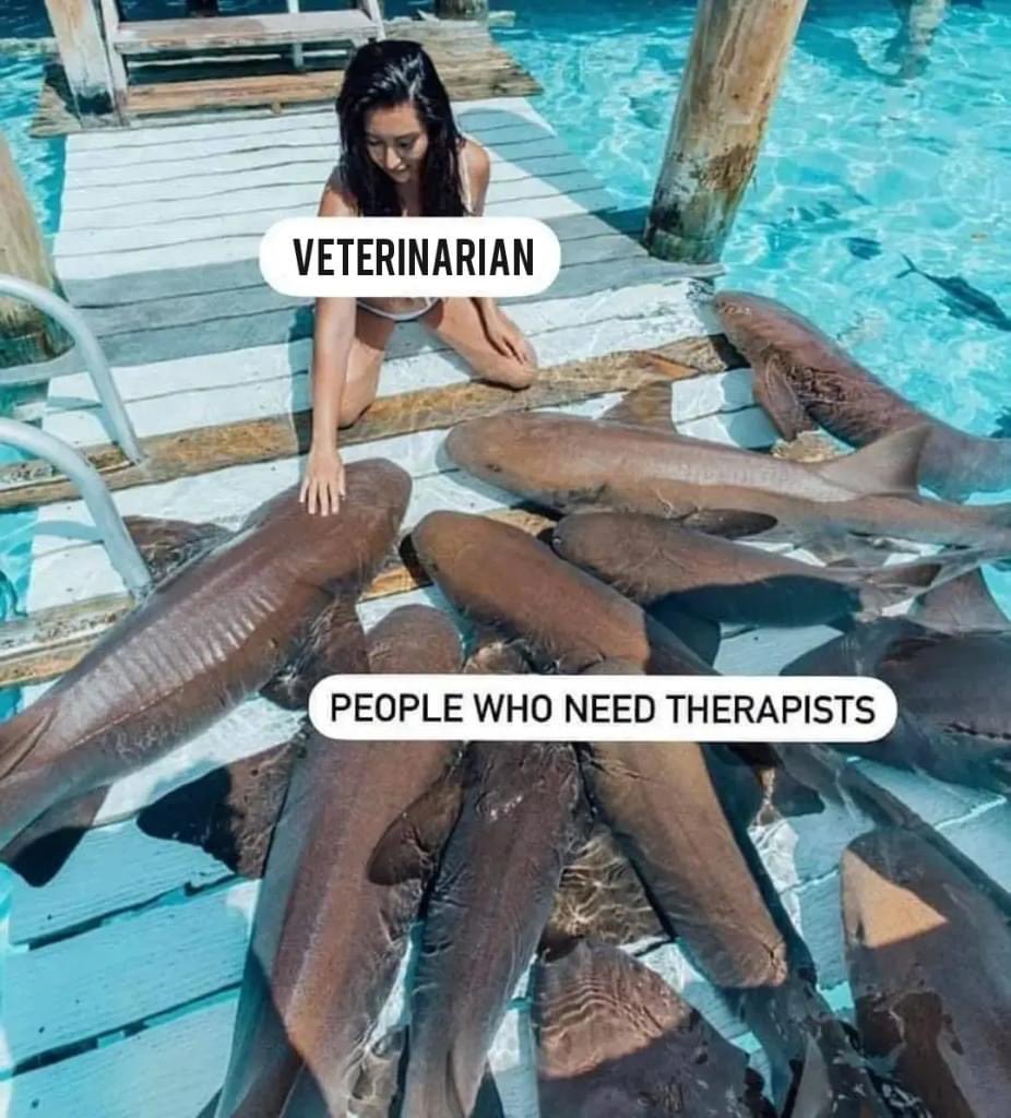 Some days… #vettwitter