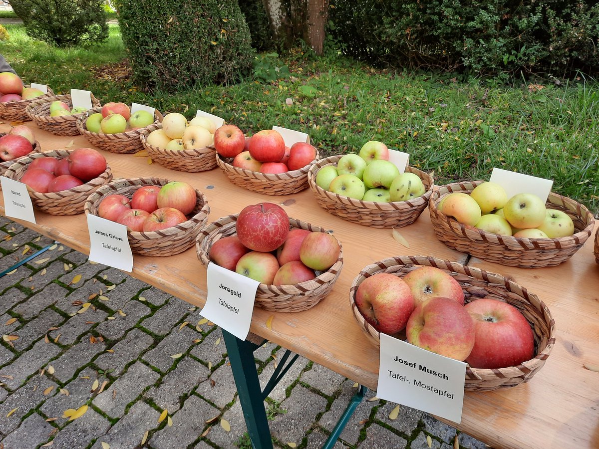 Sortenausstellung im #Arboretum #jetzt