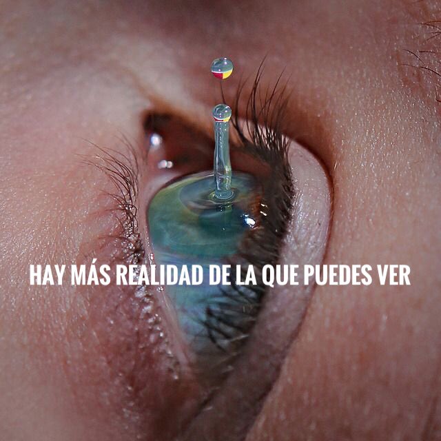Ahí en donde están las fronteras de tu capacidad de percibir comienzan nuevas formas de realidad. 

Esto es solo lo que eres capaz de digerir.