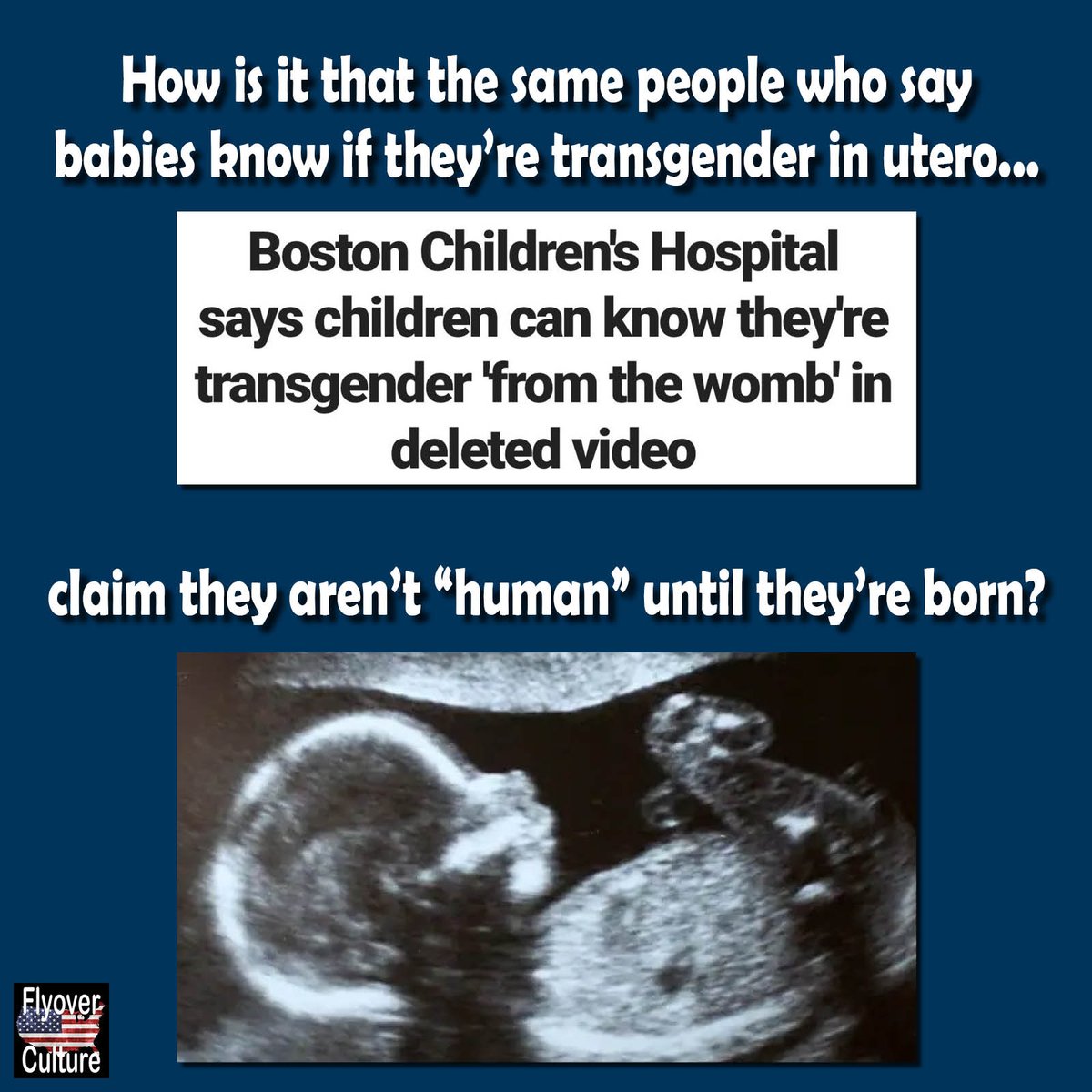 FlyoverCarole's tweet photo. The same people saying babies' aren't "human" until birth are now claiming they know if they're transgender before they're even born. This is demonic and insane.

#FlyoverORIGINAL https://t.co/VXsxbDlK8R